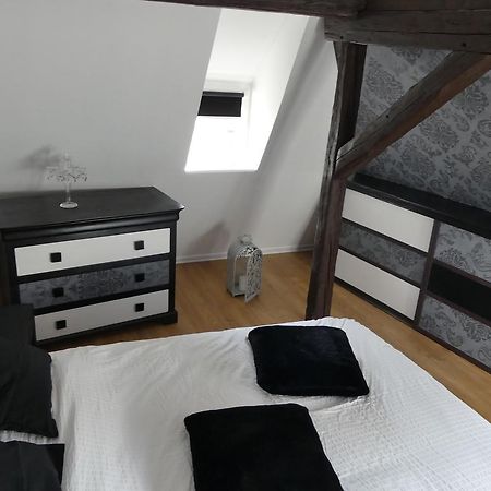 Appart Chaleureux Colmar Buitenkant foto