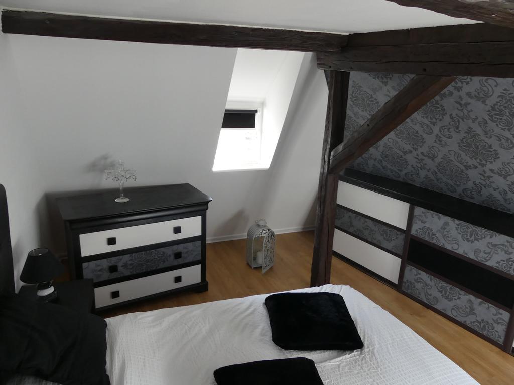Appart Chaleureux Colmar Buitenkant foto