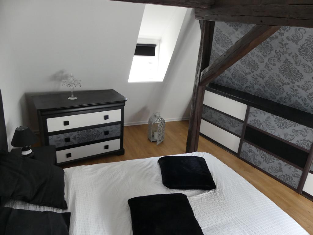 Appart Chaleureux Colmar Buitenkant foto